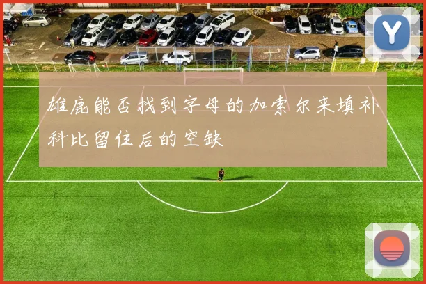雄鹿能否找到字母的加索尔来填补科比留住后的空缺