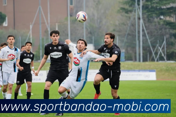 半岛体育APP 封面图