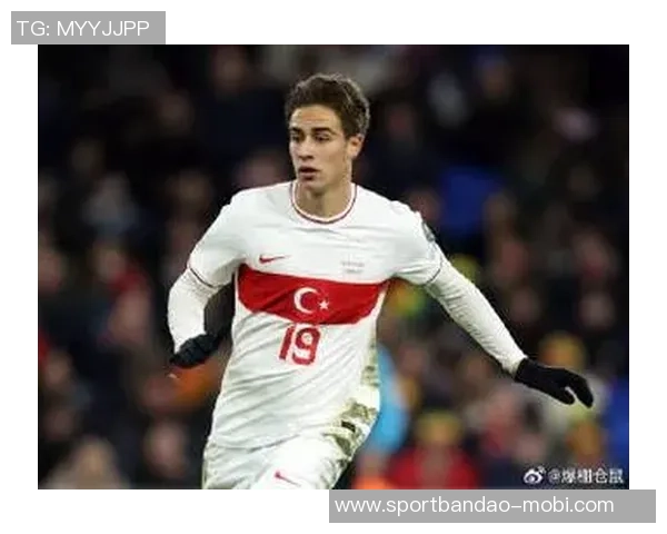 土耳其国家队新名单公布居莱尔恰尔汗奥卢伊尔迪兹入选乌尊未能入选 土耳其国家队新名单公布居莱尔恰尔汗奥卢伊尔迪兹入选乌尊未能入选